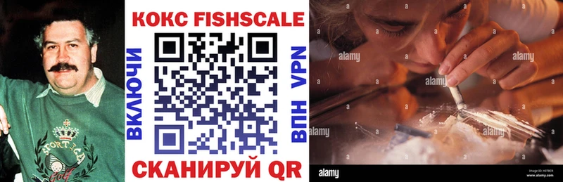 Cocaine FishScale  где купить наркоту  Братск 
