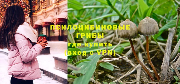 прущая мука Баксан