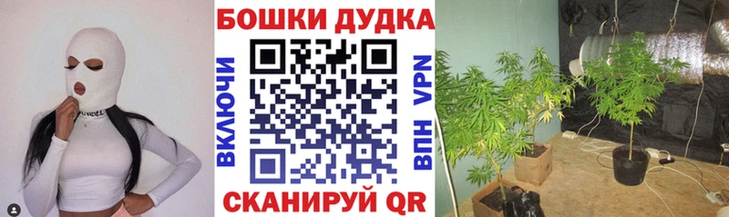 Шишки марихуана LSD WEED  Братск 